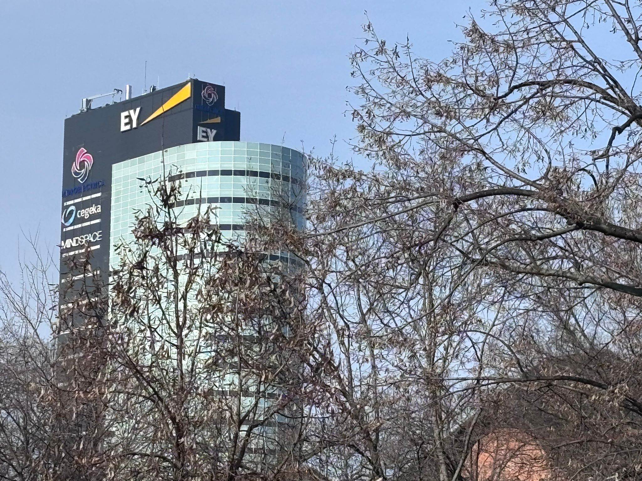 Hidroelectrica a relansat oficial procedura pentru alegerea șefilor plini, la patru luni de la eșecul anterior. Condițiile care trebuie să fie îndeplinite de candidați