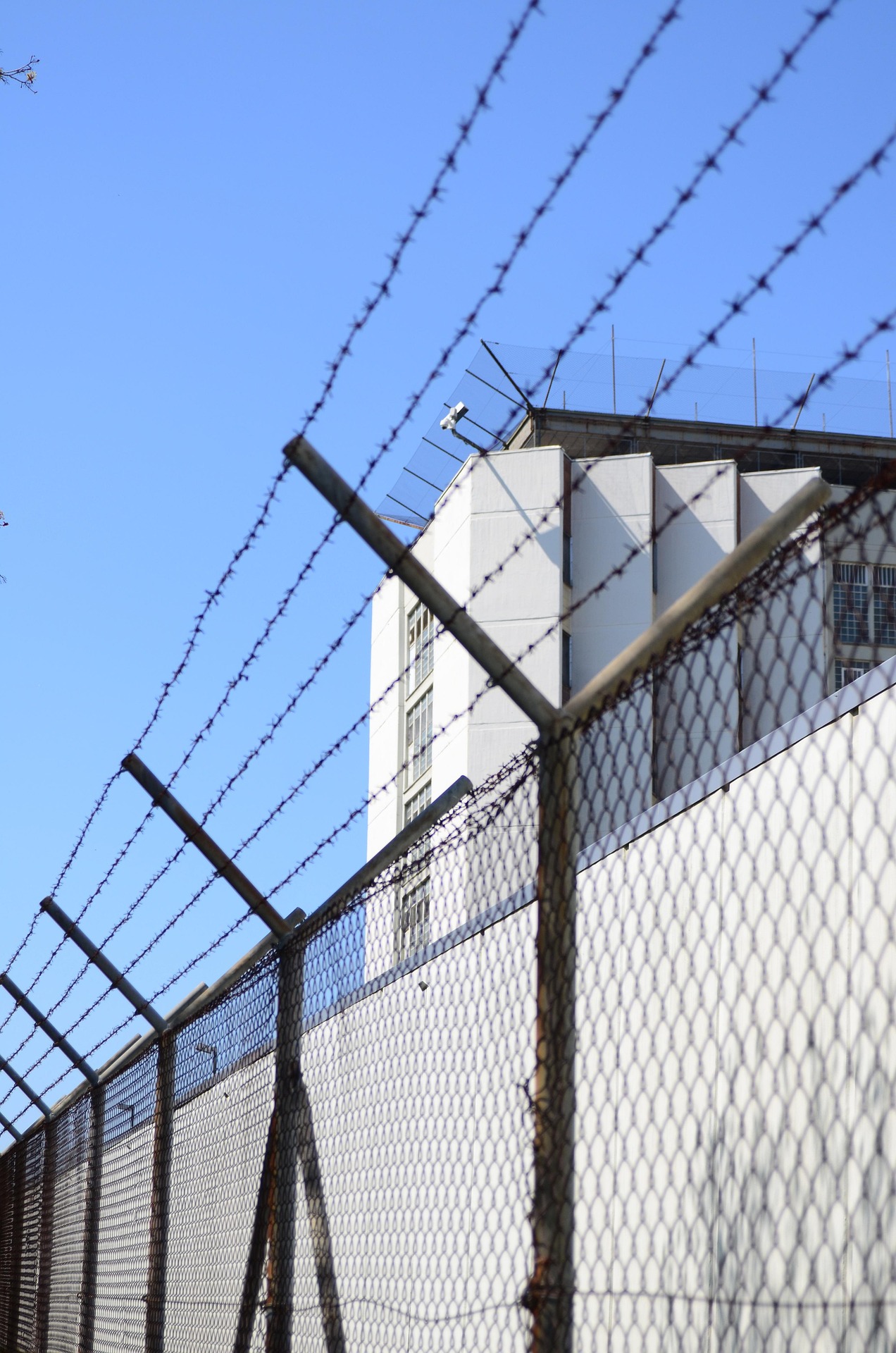 O eroare a unui sistem cu inteligență artificială a băgat din greșeală în închisoare o femeie timp de șase luni