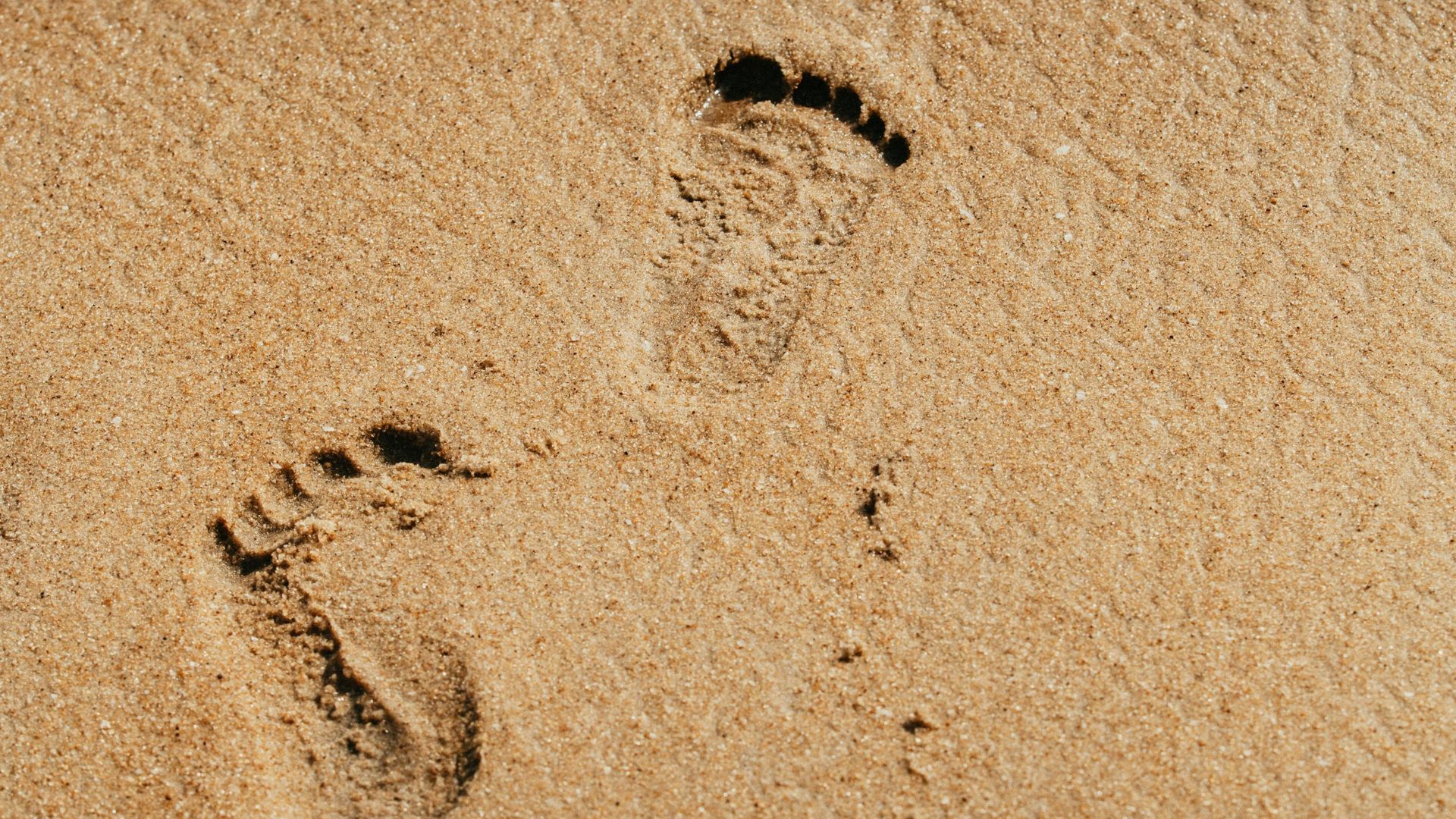 Participare record la licitația pentru plajele din Năvădari. 300 de oferte pentru 58 de subsectoare