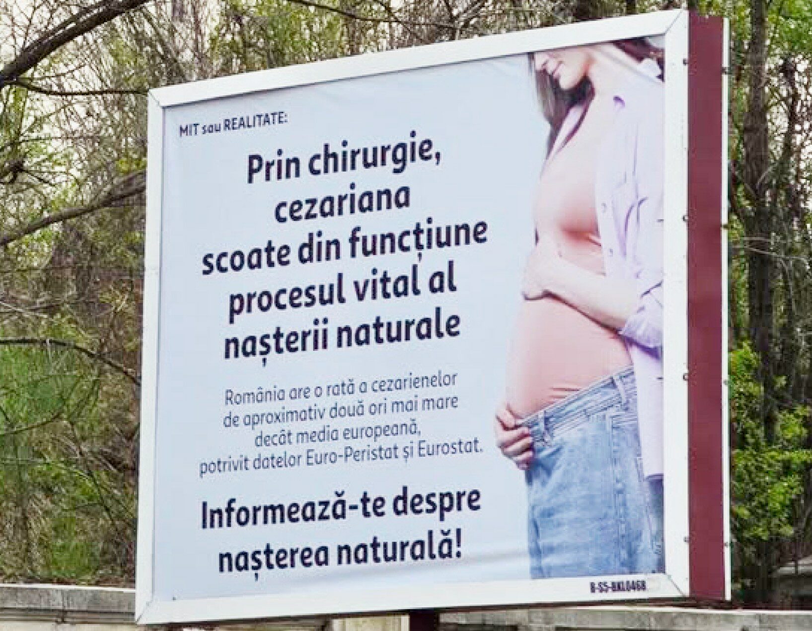 „În 2026, așa ceva” Senatoarea Cynthia Păun cere intervenție de urgență după apariția unor panouri controversate