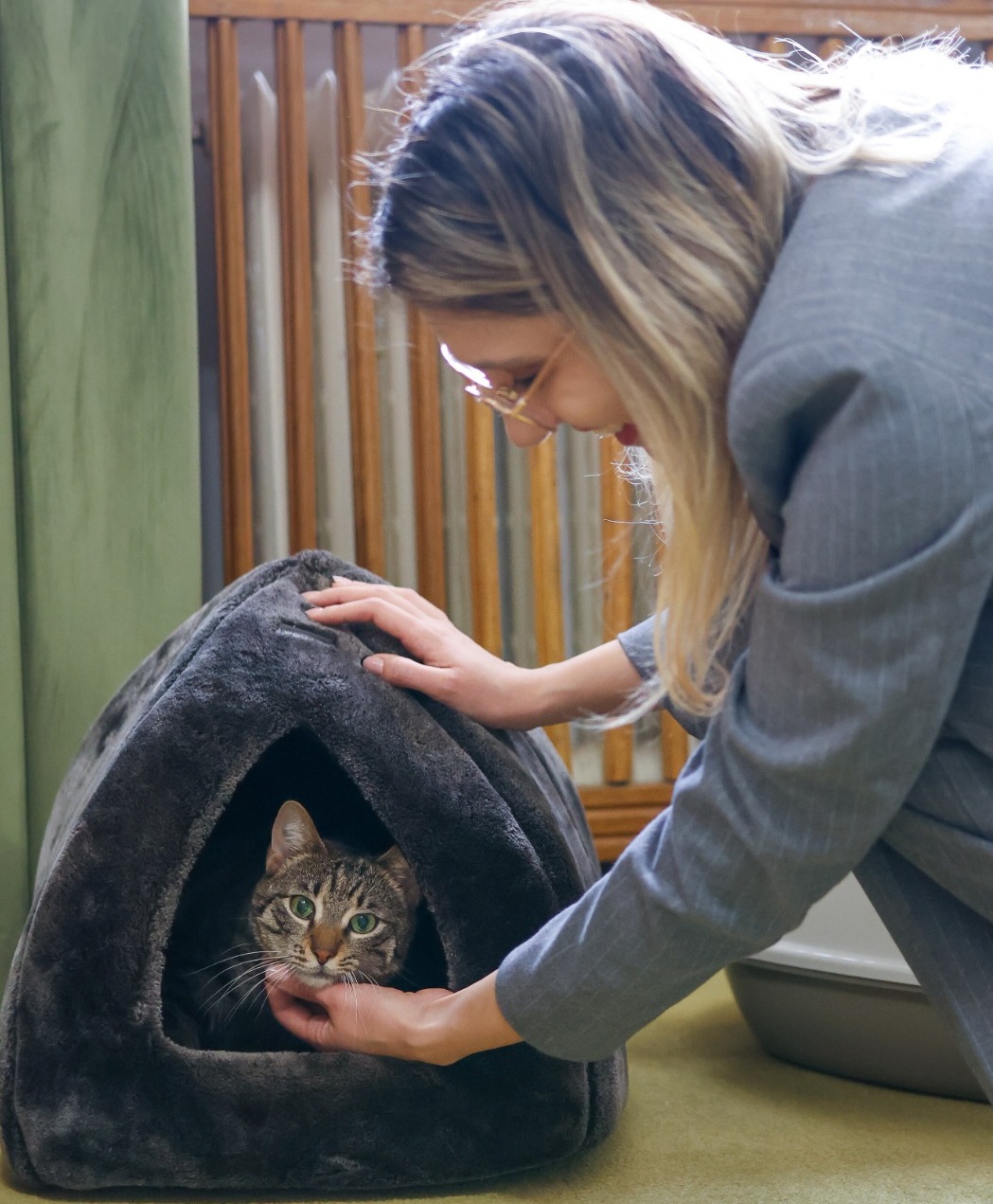 Pisică grav abuzată, adoptată de Ministerul Mediului / „Acest gest este despre responsabilitate, dar și despre puterea exemplului. Leia vine cu o poveste grea”