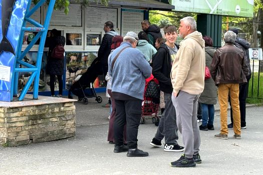 Cozi la Delfinariul din Mamaia în minivacanța de 1 Mai. Cât plătesc turiștii pentru un bilet