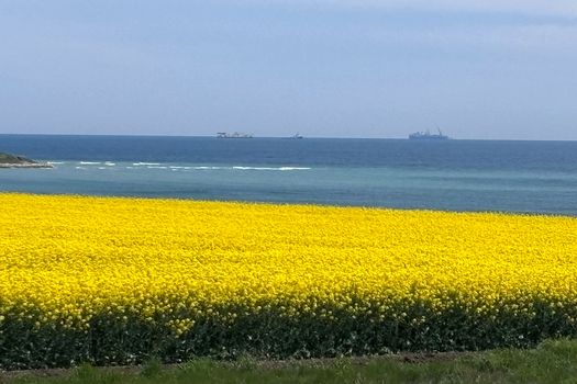 Neptun Deep, cu un pas mai aproape de producție. Începe faza de instalare în cadrul proiectului de exploatare a gazelor naturale din Marea Neagră