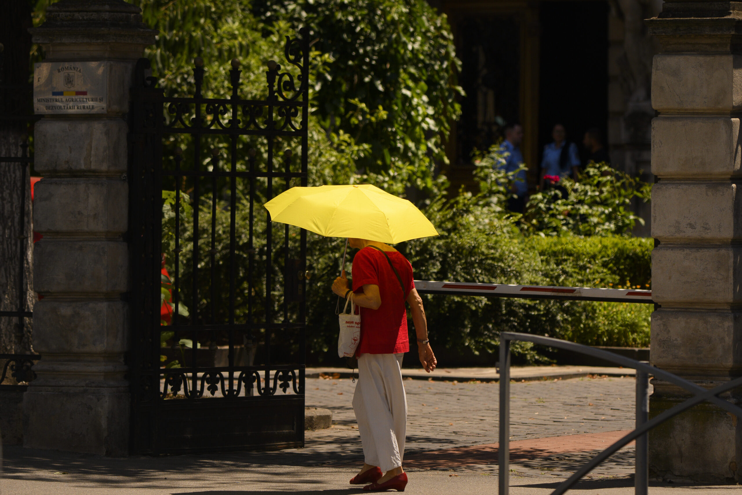 1.000 de decese suplimentare în Franța, pe fondul valului de căldură fără precedent