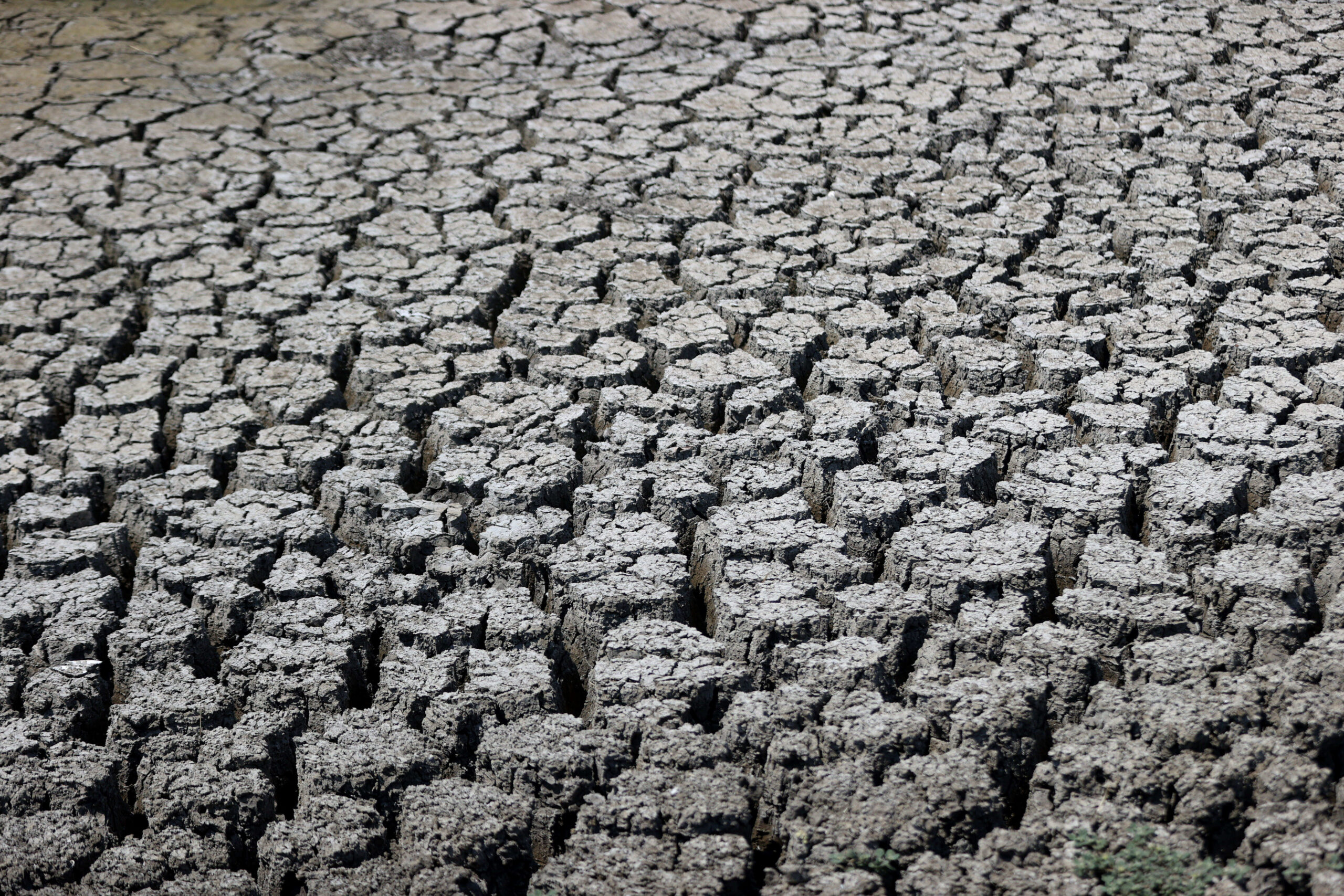 Peste 100 de milioane de oameni riscă foametea. Experții indică două cauze majore: El Niño și războiul din Iran