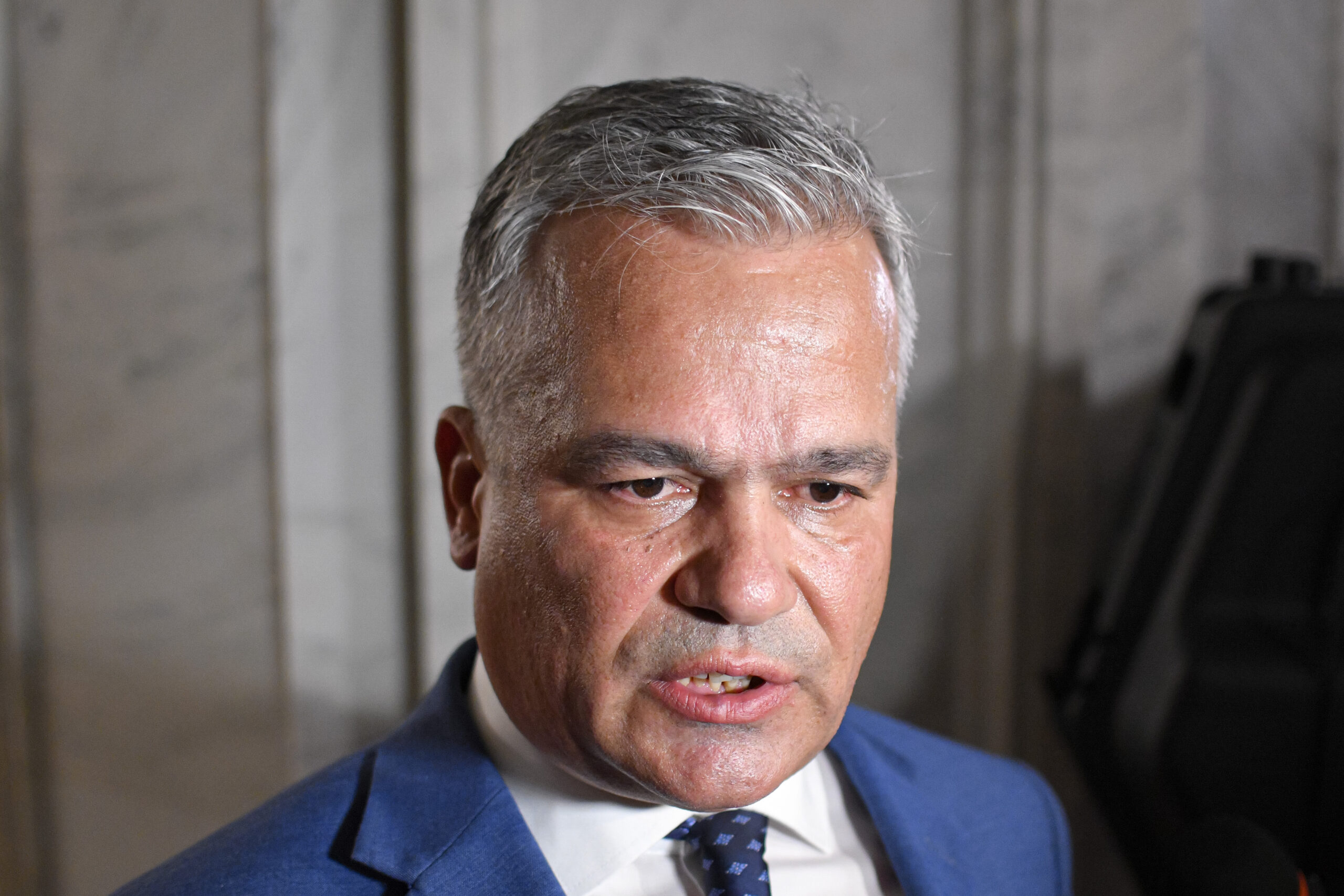 Veștea, întrebat dacă Nicușor Dan știe că a discutat cu AUR: Am mandat de a alcătui un guvern