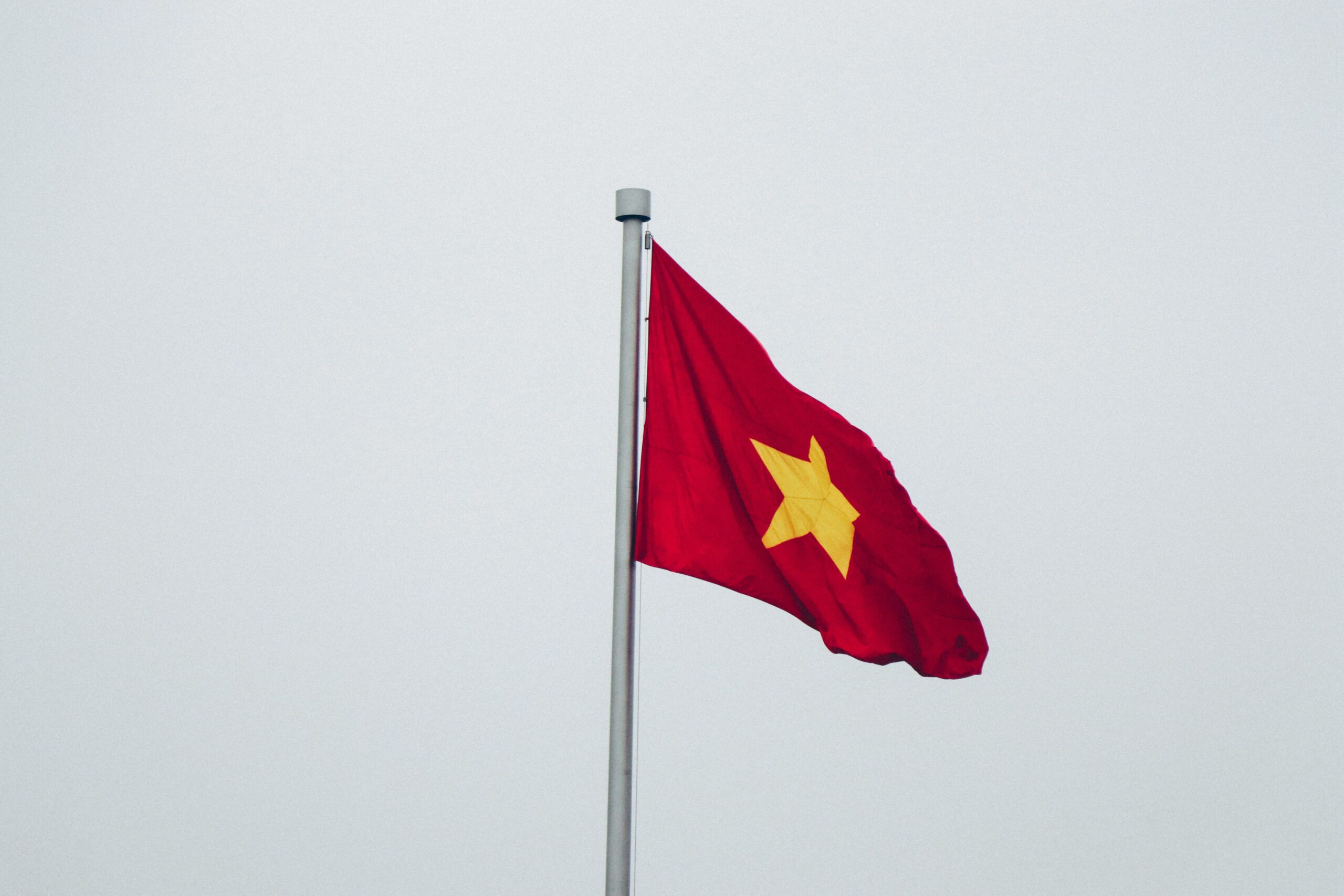 Vietnam: O rețea masivă de hoți de pisici a fost destructurată. Peste 400 de animale, care urmau să fie sacrificate, au fost salvate
